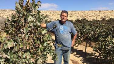 Winzer Ejal Israel vom Weingut Carmel Avdat in der Negev-Wüste | Bild: BR / Julio Segador