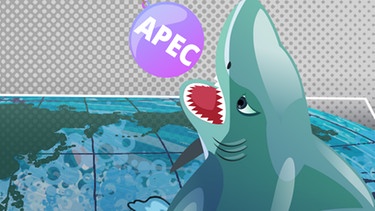 Illustration zum Thema APEC | Bild: colourbox.com/ BR