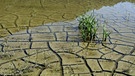 Verdorrter, trockener, rissiger Boden, Erde gleichzeitig überschwemmt | Bild: picture alliance / imageBROKER