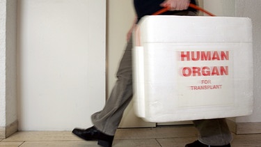 Spenderorgane - Person eilt mit Kühlbox durch Krankenhausgang | Bild: picture-alliance_dpa_Frank May
