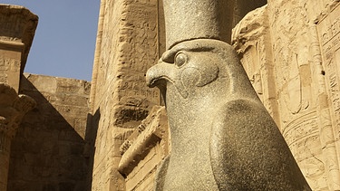 Ägyptischer Sonnengott Horus in Gestalt eines Falken - Skulptur | Bild: picture-alliance/dpa/ imageBROKER 
