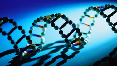 DNA Helixmodell | Bild: Getty Images