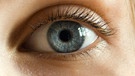 Ein menschliches Auge in Großaufnahme | Bild: colourbox.com