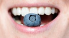 Offener Mund, Zähne beissen auf Blaubeere | Bild: picture-alliance/dpa