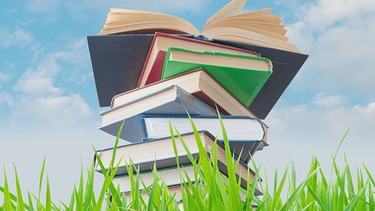 Bücherstapel im Gras | Bild: colourbox.com
