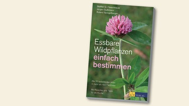 Buchcover "Essbare Wildpflanzen einfach bestimmen" von Steffen G. Fleischhauer | Bild: AT Verlag, Montage: BR