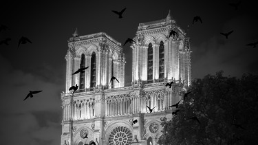 Notre Dame umkreist von Fledermäusen | Bild: colourbox.com/Montage BR