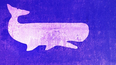 Ein gezeichneter Wal | Bild: iStock / BR