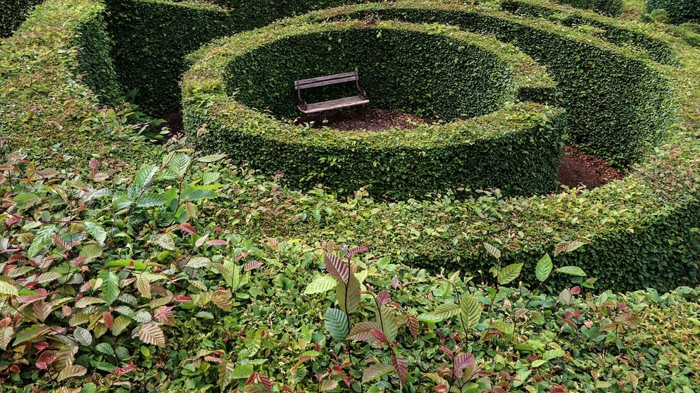 Zu sehen ist ein grünes Heckenlabyrinth, im Zentrum steht eine einzelne Bank. | Bild: picture-alliance/dpa