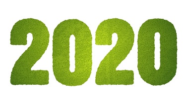 Schriftzug 2020 aus Gras | Bild: colourbox.com