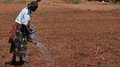 Eine Frau bei der Feldarbeit, Kenia | Bild: picture-alliance/dpa