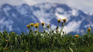 Darstellung: Alpen | Bild: picture-alliance/dpa