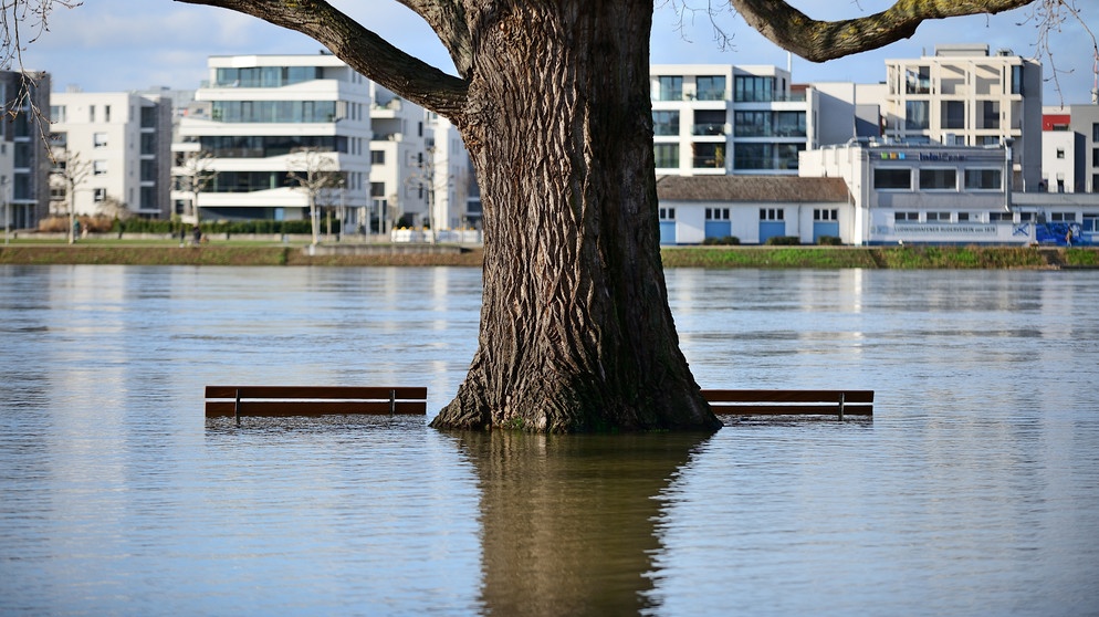 Rheinhochwasser in Mannheim. Hier an der Südlichen Rheinpromenade stehen am 4.Februar 2021 zahlreiche Bänke und Bäume im Wasser. | Bild: picture-alliance/dpa/ Daniel Kubirski