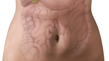 Darstellung des Darms auf dem Bauch einer Frau | Bild: picture-alliance/dpa
