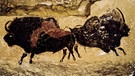 Höhlenmalerei, zwei prähistorische Bisons in der Höhle von Lascaux | Bild: picture-alliance/dpa