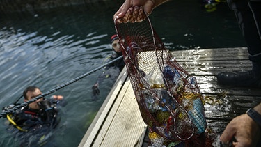 Immer mehr Plastik vermüllt die Meere | Bild: BR