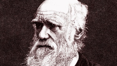 Charles Darwin | Bild: picture-alliance/dpa