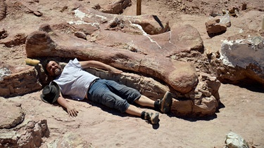 Mann liegt vor einem Dinosaurier-Knochen | Bild: picture-alliance/dpa