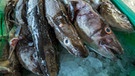 Frisch gefangene Dorsche liegen auf Eis | Bild: picture-alliance/dpa