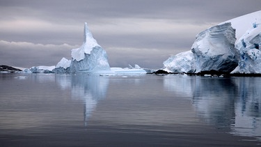 Eisberge im Lemaire Kanal, Kodak Gap, Antarktis | Bild: picture-alliance/dpa