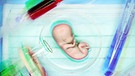 Symbolbild: Embryo | Bild: picture-alliance/dpa