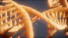 Ein illustrierter DNA-Strang. | Bild: picture alliance_Zoonar_Stanislav Rishnyak