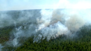 Russland, Jakutsk: Rauchwolken steigen aus einem Wald auf. | Bild: picture-alliance/dpa
