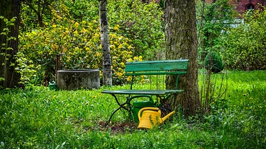 Ein Garten im Sommer mit grünen Pflanzen, einer Bank und einer Gieskanne | Bild: colourbox.com