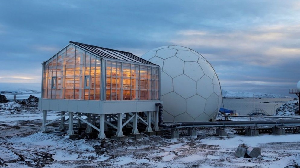 Gewächshaus in der Antarktis | Bild: picture-alliance/dpa