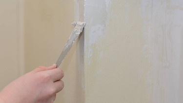 Gips wird auf einen Mauerriss gespachtelt | Bild: picture-alliance/dpa