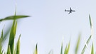 Ein Flugzeug am Himmel. | Bild: stock.adobe.com/merklicht.de