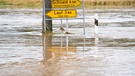 Zwei gelbe Verkehrsschilder kurz vorm Untergehen im Hochwasser | Bild: picture-alliance/dpa