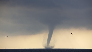Tornado über dem Meer | Bild: dpa-Bildfunk