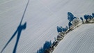 Der Schatten einer Windenergieanlage auf einem schneebedeckten Feld bei Brandenburg  | Bild: dpa-Bildfunk