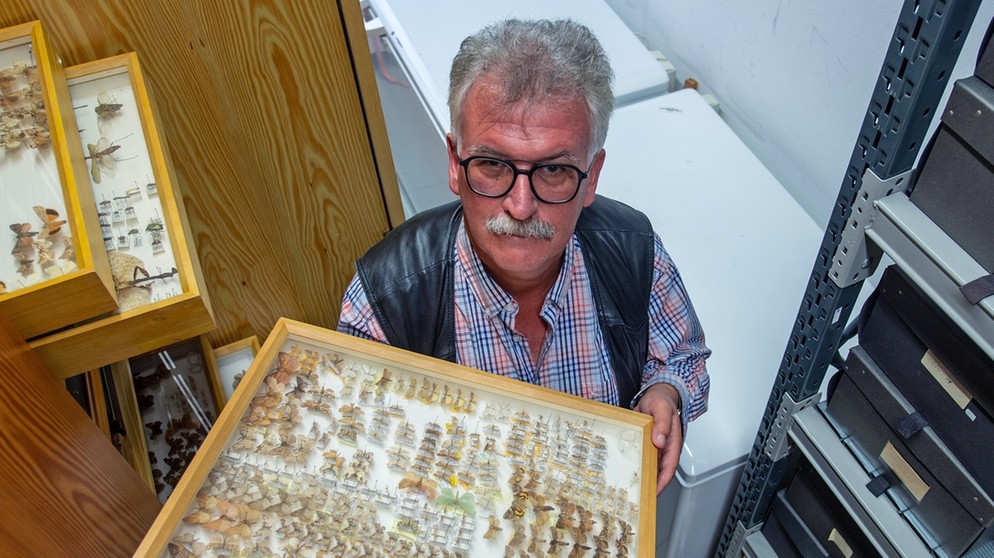 Josef Settele, international renommierter Biodiversitätsforscher, steht in einem Labor im Helmholtz-Zentrum für Umweltforschung (UFZ) in Halle/Saale. | Bild: picture-alliance/dpa
