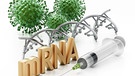 3D-Graphik von Coronaviren, mRNA und Impfspritze | Bild: picture alliance / Zoonar | Cigdem Simsek