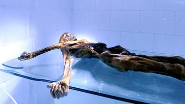 Gletschleiche Ötzi | Bild: picture-alliance/dpa