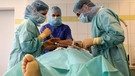 Transplantationsmediziner entnehmen einem Verstorbenen das Herz | Bild: picture-alliance/dpa