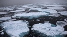 Das Bild zeigt Eisschollen im Arktischen Ozean in Norwegen am 14.07.2022 | Bild: picture-alliance/dpa