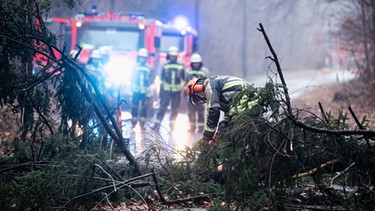 Einsatzkräfte der Feuerwehr versuchen, einen umgestürzten Baum von einer Straße zu entfernen. | Bild: picture-alliance/dpa