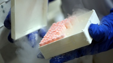 Eine Wissenschaftlerin arbeitet an einem Stickstofftank in dem sich eingefrorene Zellkulturen befinden | Bild: picture-alliance/dpa
