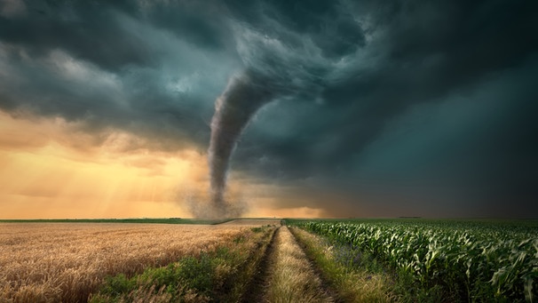 Ein Tornado auf einem Feld in der Abendsonne. | Bild: stock.adobe.com/rasica