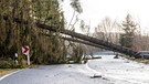 Eine Landstraße unterhalb des Großen Feldbergs ist wegen zahlreicher umgestürzter Bäume gesperrt. Deutschland am 17.02.2022 | Bild: picture-alliance/dpa