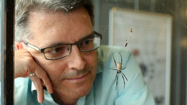 Der Spinnenseideforscher Thomas Scheibel | Bild: picture-alliance/dpa
