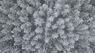 Blick auf die schneebedeckten Bäume in einem Wald nahe der Ortschaft Heubach, Baden-Württemberg. | Bild: picture-alliance/dpa