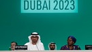 Weltklimakonferenz der Vereinten Nationen in Dubai | Bild: dpa-Bildfunk/Peter Dejong
