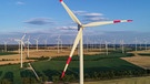 Blick über den Windenergiepark "Odervorland" im Landkreis Oder-Spree  | Bild: picture-alliance/dpa