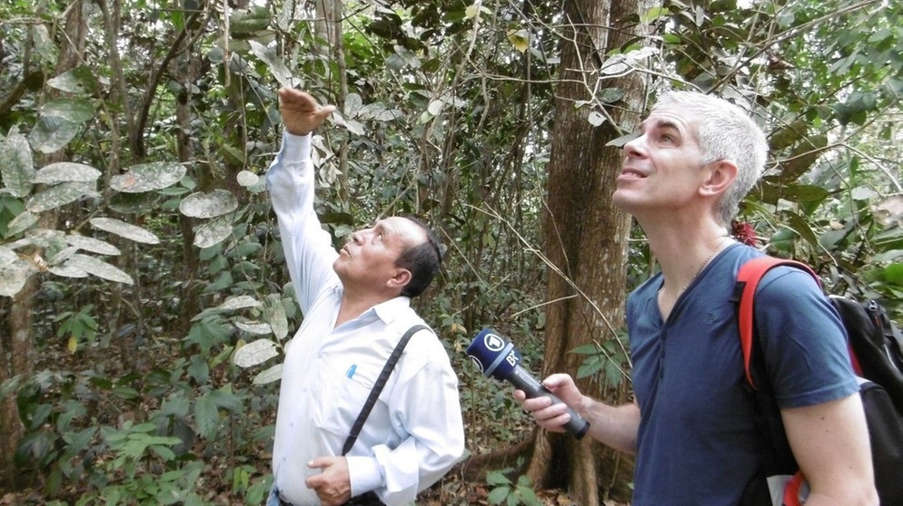 Amazonas-Urwald in Gefahr - ARD-Korrespondent Ivo Marusczyk berichtet aus Peru. | Bild: BR