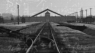 Bahngleise auf das Konzentrationslager Auschwitz | Bild: BR/dpa