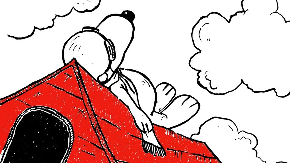 Snoopy schreibt seine erste Zeile als Schriftsteller (12.07.1965) | Bild: Tobias Kubald